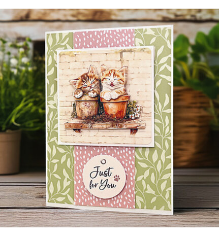 Katy Sue Crafty Kittens Die Cut Topper & Decoupage Collection (11-DCD7002) Katy Sue Crafty Kittens Die Cut Topper & Decoupage Collection (11-DCD7002)