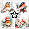 Paper Favourites Christmas Birds 6x6 Inch Paper Pack (PF588) Paper Favourites Christmas Birds 6x6 Inch Paper Pack (PF588)