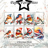Paper Favourites Christmas Birds A6 Paper Pad (PFA629) Paper Favourites Christmas Birds A6 Paper Pad (PFA629)