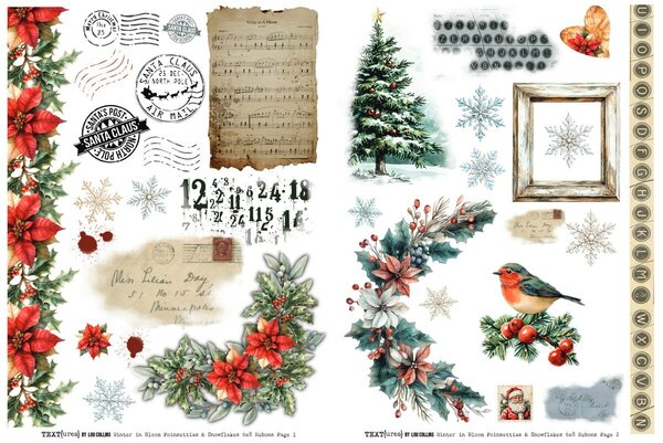 Text{ures} Winter in Bloom 6x8 Inch Rub-On Transfer Set (TEXRO0003) Text{ures} Winter in Bloom 6x8 Inch Rub-On Transfer Set (TEXRO0003)