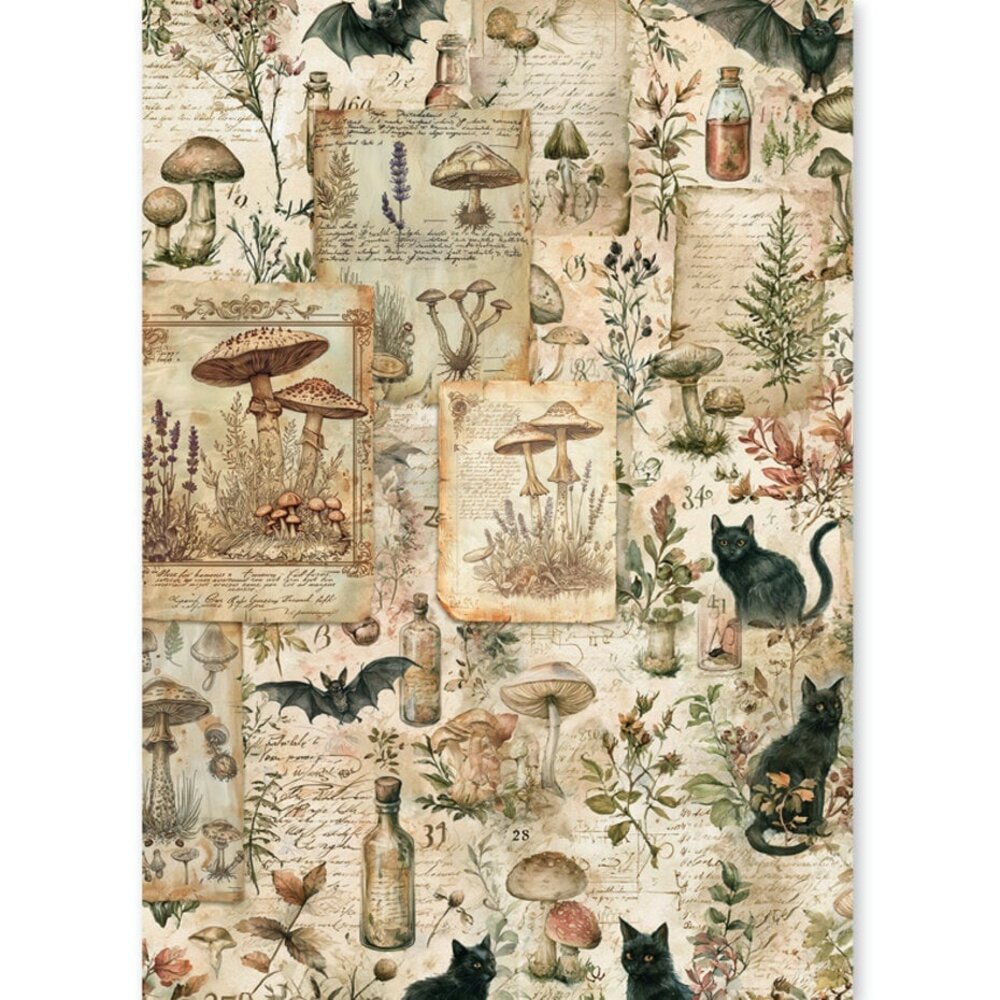 Ciao Bella Papercrafting The Witch's Grimoire A5 Mixed Rice Papers (CBRS048)