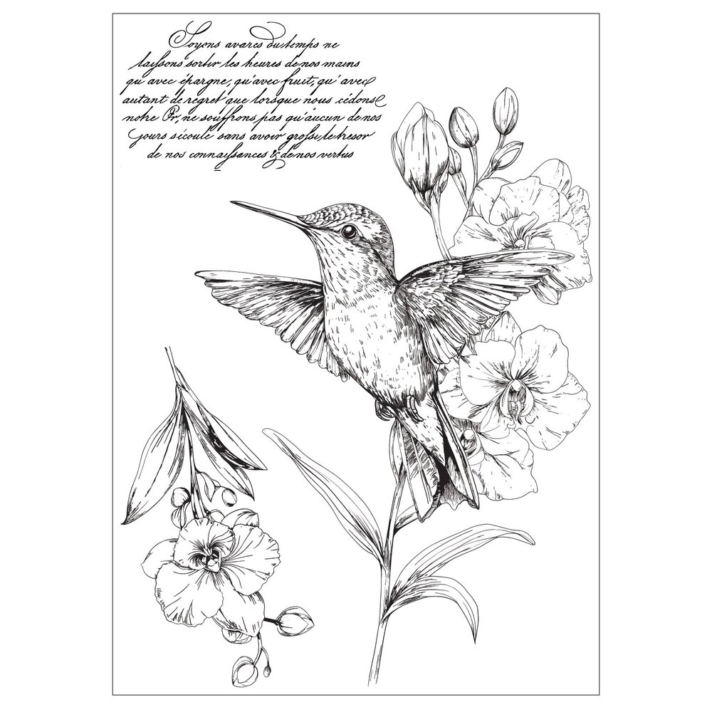 Sizzix PRE-ORDER 49 & Market Clear Stamps with Stencils Hummingbird and Orchids (667125) Sizzix PRE-ORDER 49 & Market Clear Stamps with Stencils Hummingbird and Orchids (667125)