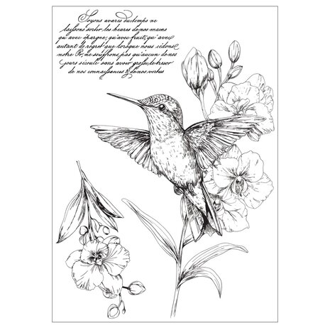 Sizzix PRE-ORDER 49 & Market Clear Stamps with Stencils Hummingbird and Orchids (667125) Sizzix PRE-ORDER 49 & Market Clear Stamps with Stencils Hummingbird and Orchids (667125)