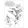 Sizzix PRE-ORDER 49 & Market Clear Stamps with Stencils Hummingbird and Orchids (667125) Sizzix PRE-ORDER 49 & Market Clear Stamps with Stencils Hummingbird and Orchids (667125)