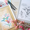 Sizzix PRE-ORDER 49 & Market Clear Stamps with Stencils Hummingbird and Orchids (667125) Sizzix PRE-ORDER 49 & Market Clear Stamps with Stencils Hummingbird and Orchids (667125)