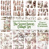 AB Studio The Secret Forest A4 Cut & Collage Book AB Studio The Secret Forest A4 Cut & Collage Book