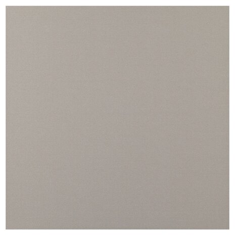 Vaessen Creative Smooth Cardstock 12x12 Inch Silver (2932-002) Vaessen Creative Smooth Cardstock 12x12 Inch Silver (2932-002)