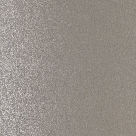 Vaessen Creative Smooth Cardstock 12x12 Inch Silver (2932-002) Vaessen Creative Smooth Cardstock 12x12 Inch Silver (2932-002)
