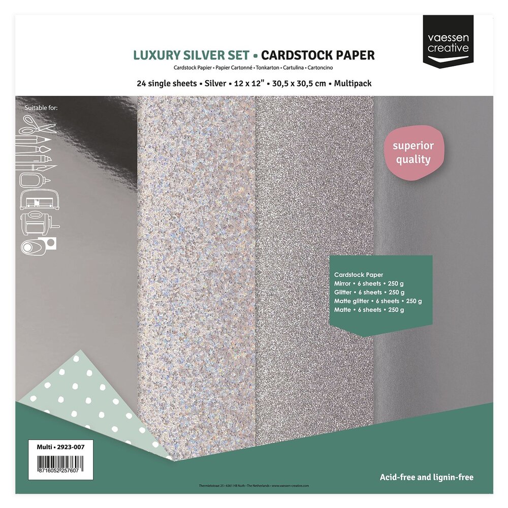 Vaessen Creative Luxury Silver 12x12 Inch Cardstock Paper (2932-007) Vaessen Creative Luxury Silver 12x12 Inch Cardstock Paper (2932-007)