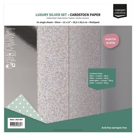 Vaessen Creative Luxury Silver 12x12 Inch Cardstock Paper (2932-007) Vaessen Creative Luxury Silver 12x12 Inch Cardstock Paper (2932-007)