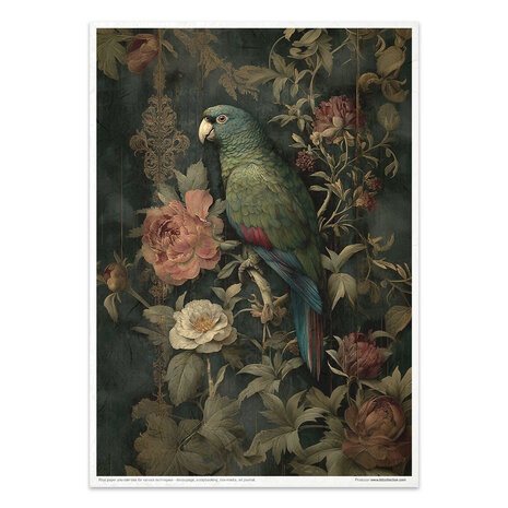 ITD Collection Botanical Boudoir A4 Rice Paper Set (RP 107) ITD Collection Botanical Boudoir A4 Rice Paper Set (RP 107)