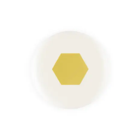 Vaessen Creative Magnetic Anywhere Pons Hexagon 2,5x2,2cm (21451-003)