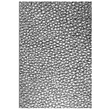 Sizzix 3D Texture Fades A5 Embossing Folder Cracked Leather by Tim Holtz (667240) Sizzix 3D Texture Fades A5 Embossing Folder Cracked Leather by Tim Holtz (667240)