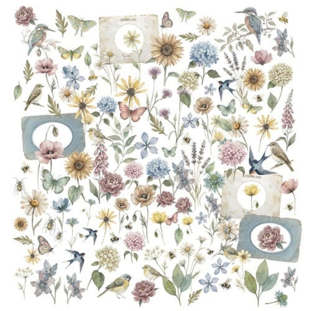 49 and Market PRE-ORDER The Quiet Observer Laser Cut Wildflowers (TQO-37203) 49 and Market PRE-ORDER The Quiet Observer Laser Cut Wildflowers (TQO-37203)