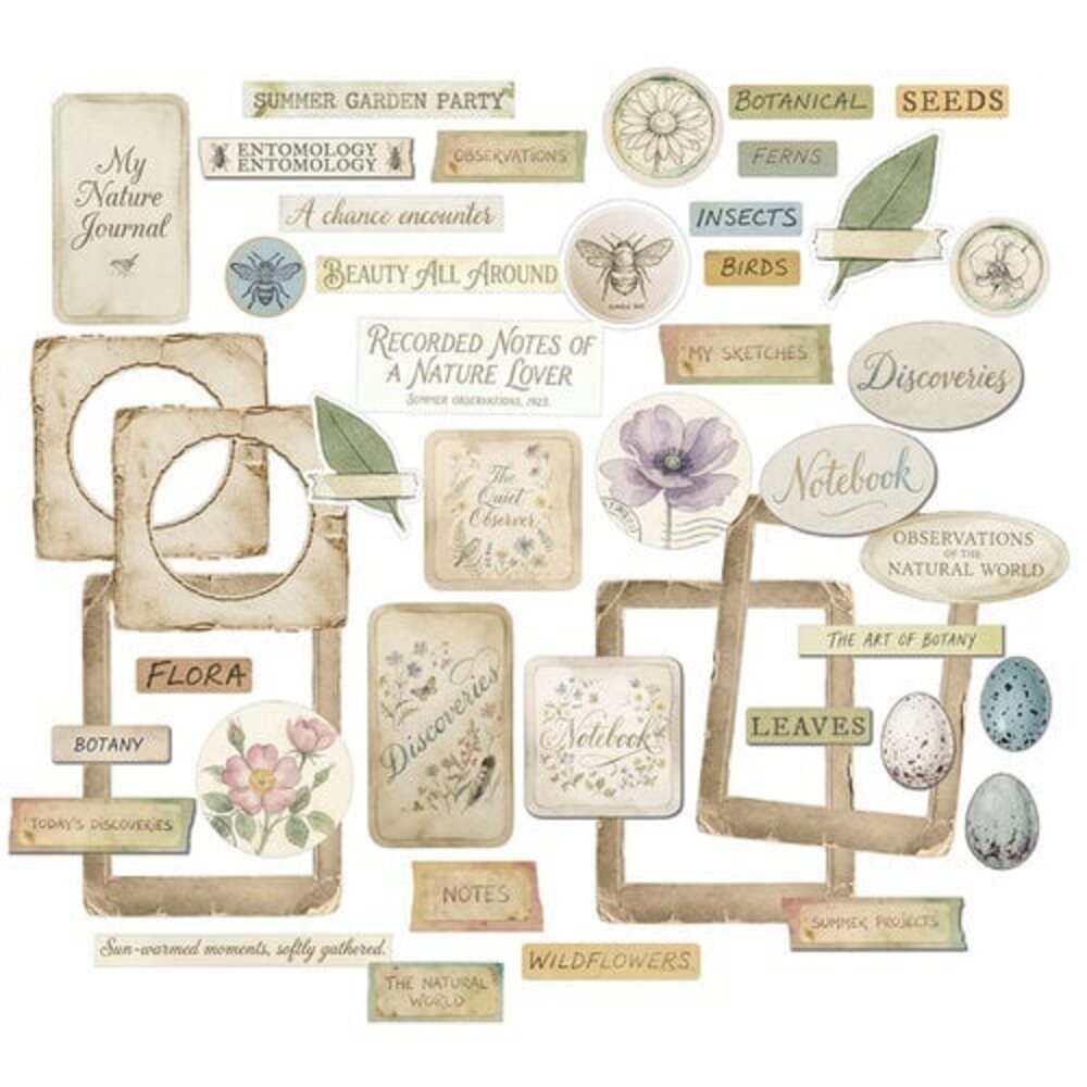 49 and Market PRE-ORDER The Quiet Observer Chipboard Set (TQO-37241)