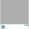 Craft Consortium The Essentials Pearlescent Card A4 Silver (CCEPC003) Craft Consortium The Essentials Pearlescent Card A4 Silver (CCEPC003)