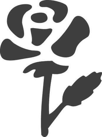 Heyda Motiefpons Klein Roos (203687456)