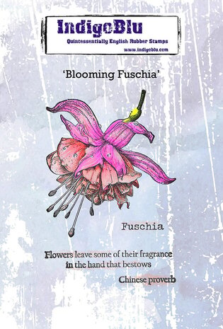 IndigoBlu Blooming Fuchsia A6 Rubber Stamp (IND1537) IndigoBlu Blooming Fuchsia A6 Rubber Stamp (IND1537)