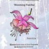 IndigoBlu Blooming Fuchsia A6 Rubber Stamp (IND1537) IndigoBlu Blooming Fuchsia A6 Rubber Stamp (IND1537)