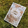 IndigoBlu Blooming Daisy A6 Rubber Stamp (IND1538) IndigoBlu Blooming Daisy A6 Rubber Stamp (IND1538)