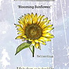 IndigoBlu Blooming Sunflower A6 Rubber Stamp (IND1540) IndigoBlu Blooming Sunflower A6 Rubber Stamp (IND1540)