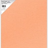 Paper Favourites Light Peach A4 Pearl Paper 250gsm (PFSS420) Paper Favourites Light Peach A4 Pearl Paper 250gsm (PFSS420)