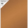 Paper Favourites Golden Toffee A4 Pearl Paper 250gsm (PFSS426) Paper Favourites Golden Toffee A4 Pearl Paper 250gsm (PFSS426)