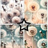 Paper Favourites Dandelion A6 Paper Pack (PFA641) Paper Favourites Dandelion A6 Paper Pack (PFA641)