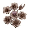 Prima Marketing Inc PRE-ORDER Made of Magic Flowers Phantom Petals (685058) Prima Marketing Inc PRE-ORDER Made of Magic Flowers Phantom Petals (685058)