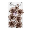 Prima Marketing Inc PRE-ORDER Made of Magic Flowers Phantom Petals (685058) Prima Marketing Inc PRE-ORDER Made of Magic Flowers Phantom Petals (685058)