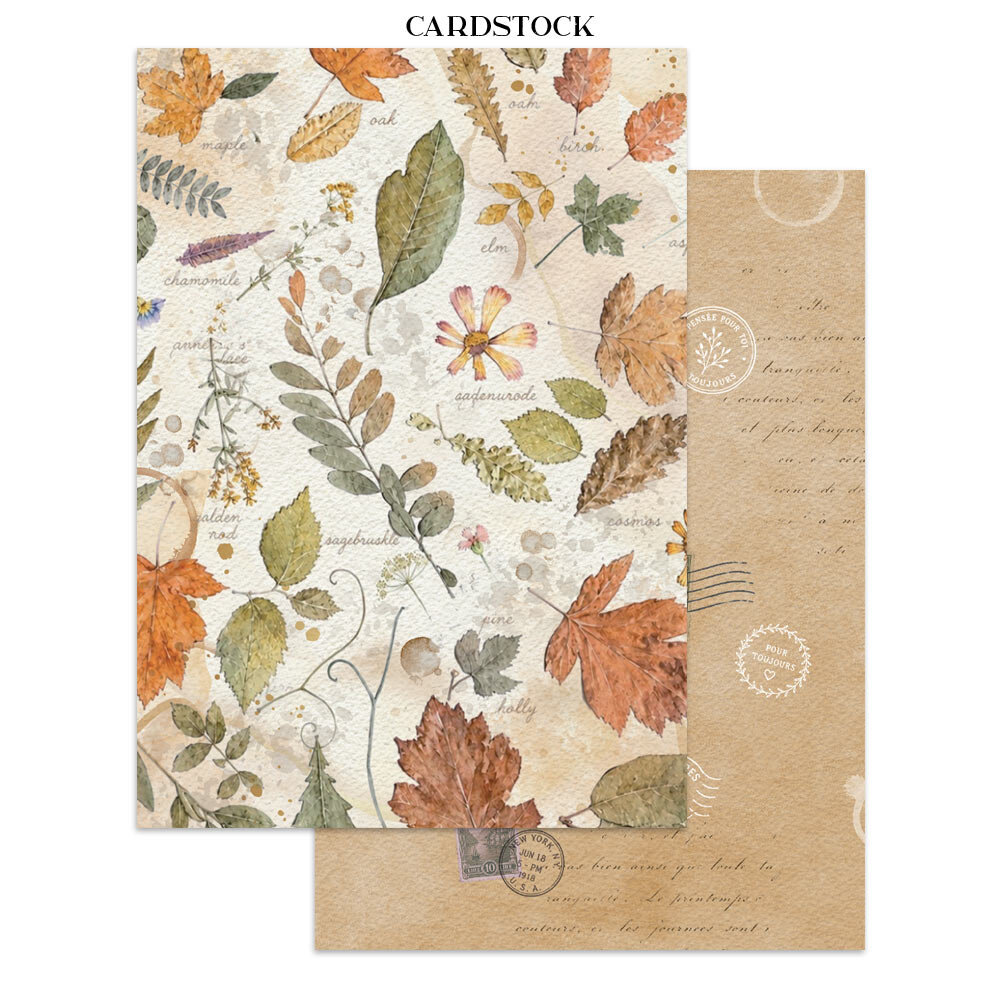 Stamperia Flowers and Poems Junk Journal A5 Focus Points (SBJKS10) Stamperia Flowers and Poems Junk Journal A5 Focus Points (SBJKS10)