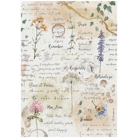 Stamperia Flowers and Poems A4 Rice Paper Selection (DFSA4XFP) Stamperia Flowers and Poems A4 Rice Paper Selection (DFSA4XFP)