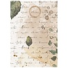 Stamperia Flowers and Poems A6 Rice Paper Backgrounds Selection (DFSAK6062) Stamperia Flowers and Poems A6 Rice Paper Backgrounds Selection (DFSAK6062)