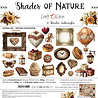 Craft O'Clock PRE-ORDER Shades Of Nature 12x12 Inch Extras Set Precious (CC-C88-SON-11) Craft O'Clock PRE-ORDER Shades Of Nature 12x12 Inch Extras Set Precious (CC-C88-SON-11)