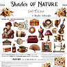 Craft O'Clock PRE-ORDER Shades Of Nature 12x12 Inch Extras Set Prestige (CC-C88-SON-12) Craft O'Clock PRE-ORDER Shades Of Nature 12x12 Inch Extras Set Prestige (CC-C88-SON-12)
