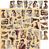 Craft O'Clock PRE-ORDER Shades Of Nature 12x12 Inch Extras Set Prestige (CC-C88-SON-12) Craft O'Clock PRE-ORDER Shades Of Nature 12x12 Inch Extras Set Prestige (CC-C88-SON-12)