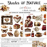 Craft O'Clock PRE-ORDER Shades Of Nature 12x12 Inch Extras Set Mix (CC-C88-SON-13) Craft O'Clock PRE-ORDER Shades Of Nature 12x12 Inch Extras Set Mix (CC-C88-SON-13)