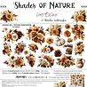Craft O'Clock PRE-ORDER Shades Of Nature 12x12 Inch Extras Set Flowers (CC-C88-SON-14) Craft O'Clock PRE-ORDER Shades Of Nature 12x12 Inch Extras Set Flowers (CC-C88-SON-14)