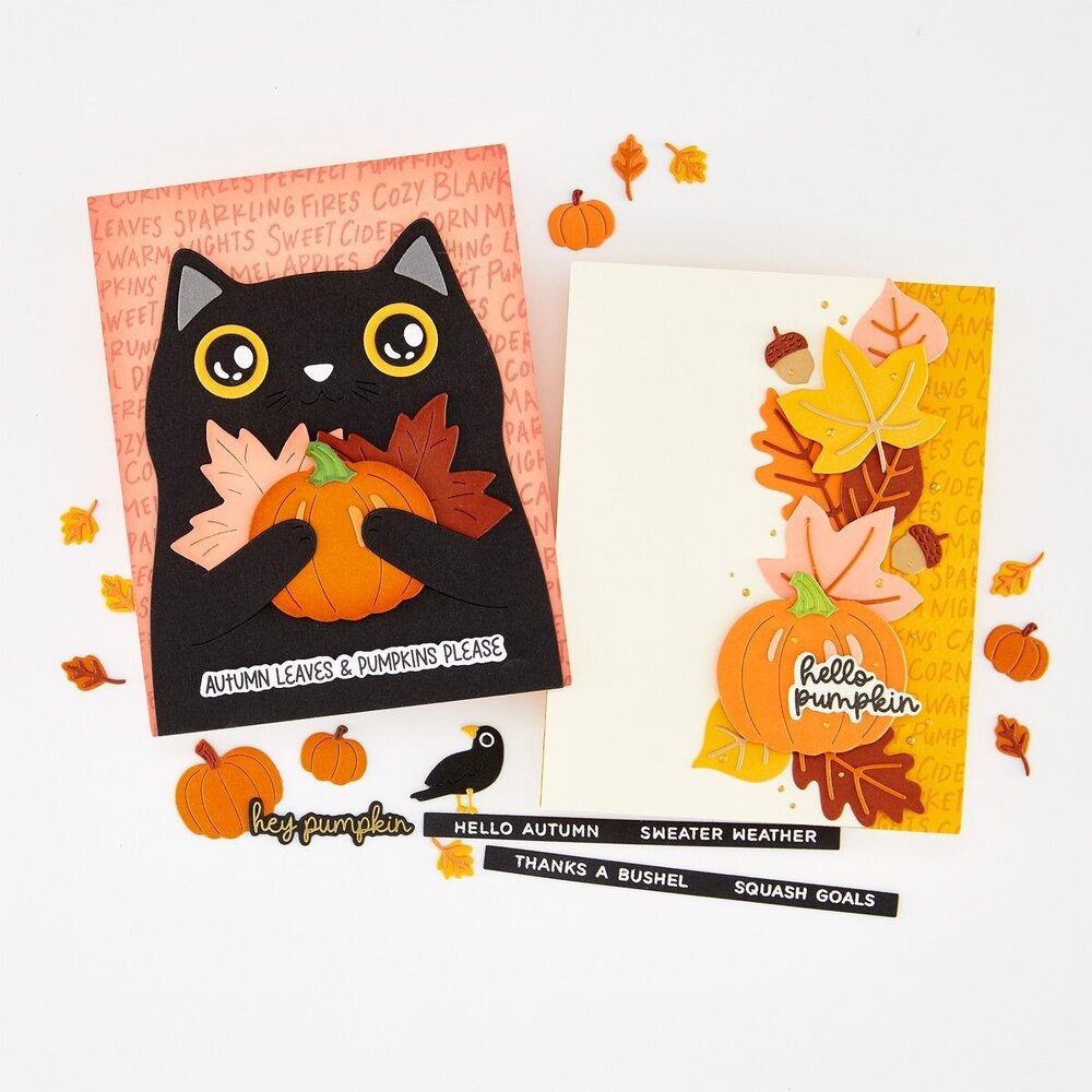 Hero Arts PRE-ORDER Cozy Season Clear Stamp Set Hide and Peek (CM882)