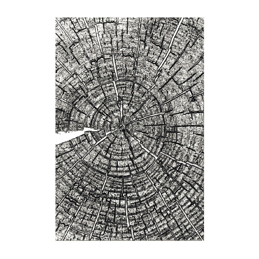 Sizzix PRE-ORDER 3D Embossing Folder A5 Tree Rings by Tim Holtz (667258) Sizzix PRE-ORDER 3D Embossing Folder A5 Tree Rings by Tim Holtz (667258)