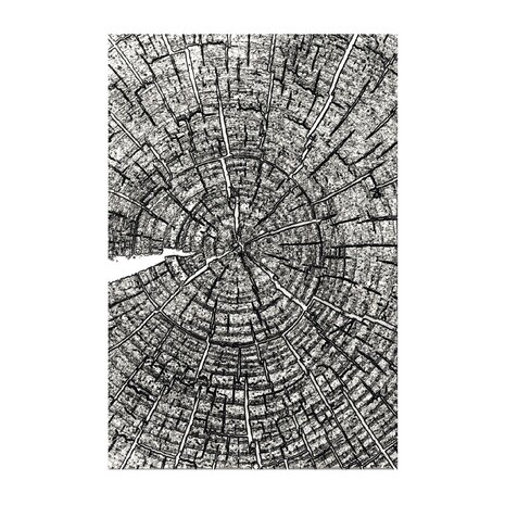 Sizzix PRE-ORDER 3D Embossing Folder A5 Tree Rings by Tim Holtz (667258) Sizzix PRE-ORDER 3D Embossing Folder A5 Tree Rings by Tim Holtz (667258)