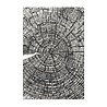 Sizzix PRE-ORDER 3D Embossing Folder A5 Tree Rings by Tim Holtz (667258) Sizzix PRE-ORDER 3D Embossing Folder A5 Tree Rings by Tim Holtz (667258)