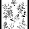 Arden Creative Studio Amber Ledgers Classic Leaves 6x8 Inch Clear Stamp Set by Katie Pertiet (ACSCS0040) Arden Creative Studio Amber Ledgers Classic Leaves 6x8 Inch Clear Stamp Set by Katie Pertiet (ACSCS0040)