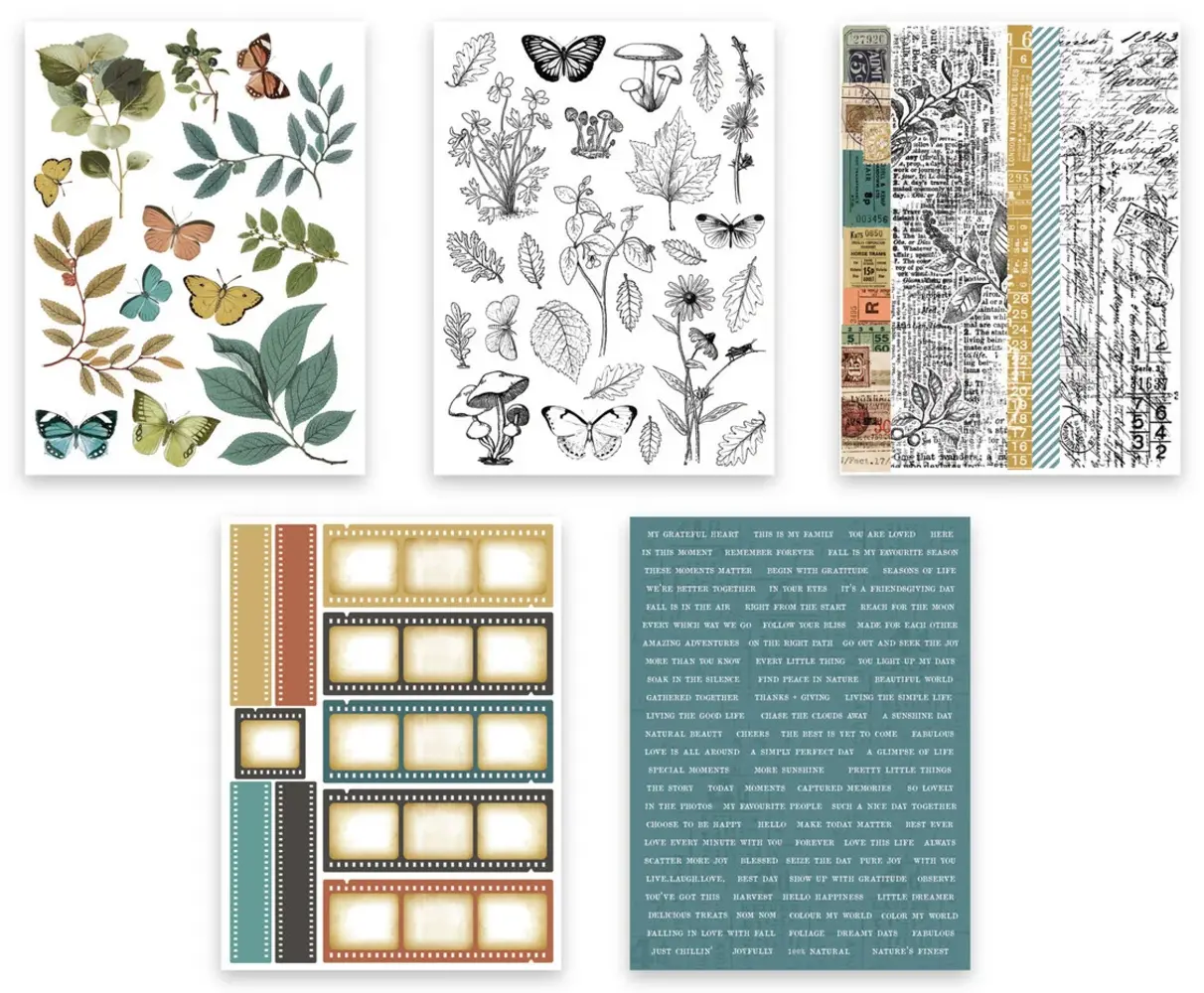 Arden Creative Studio Amber Ledgers Sticker Book by Katie Pertiet (ACSSB0003) Arden Creative Studio Amber Ledgers Sticker Book by Katie Pertiet (ACSSB0003)