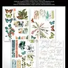 Arden Creative Studio Amber Ledgers 6x8 Inch Rub-On Transfer Set by Katie Pertiet (ACSRO0013) Arden Creative Studio Amber Ledgers 6x8 Inch Rub-On Transfer Set by Katie Pertiet (ACSRO0013)
