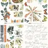 Arden Creative Studio Amber Ledgers 6x8 Inch Rub-On Transfer Set by Katie Pertiet (ACSRO0013) Arden Creative Studio Amber Ledgers 6x8 Inch Rub-On Transfer Set by Katie Pertiet (ACSRO0013)