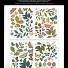 Arden Creative Studio Amber Ledgers Laser Cuts Foliage (85pcs) by Katie Pertiet (ACSLC0013) Arden Creative Studio Amber Ledgers Laser Cuts Foliage (85pcs) by Katie Pertiet (ACSLC0013)