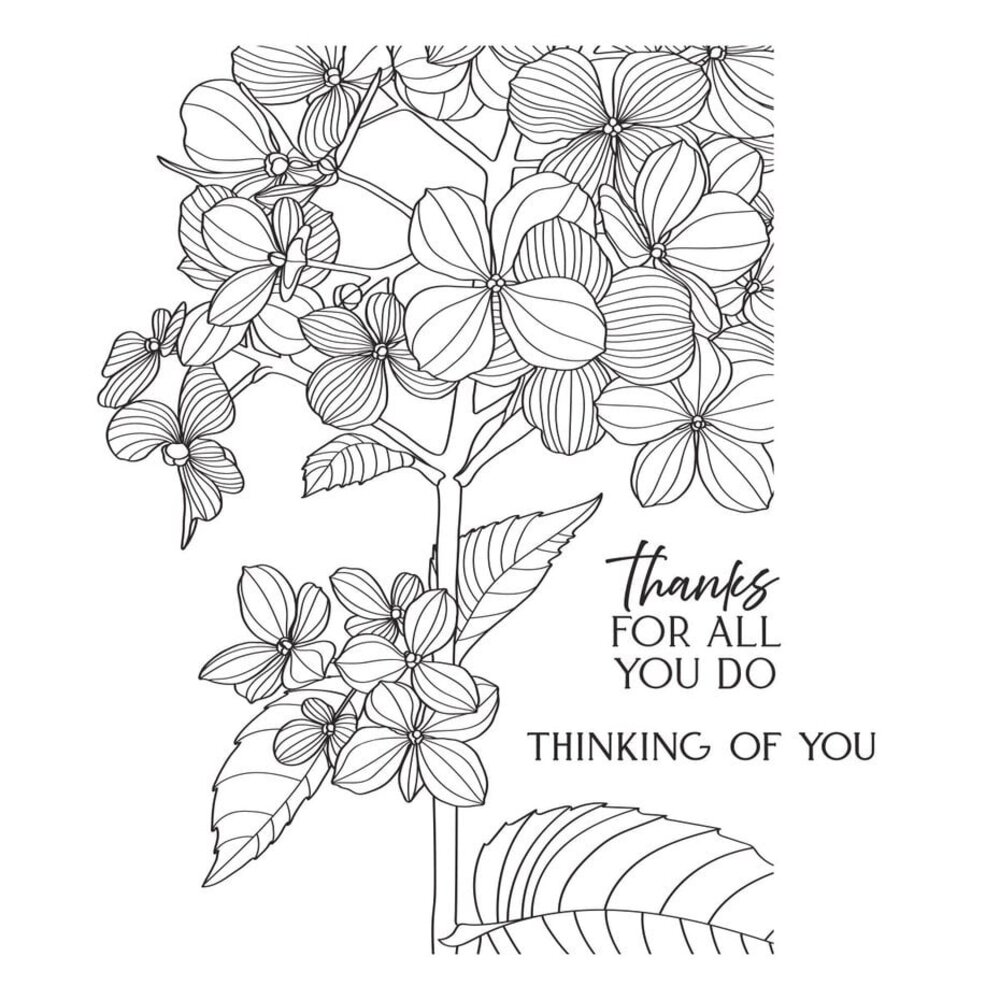 Spellbinders Create Your Way Everyday Thanks in Bloom Press + Foil Plate (BP-351)