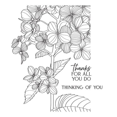 Spellbinders Create Your Way Everyday Thanks in Bloom Press + Foil Plate (BP-351)