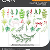 Sizzix Clear Stamps with Framelits Die Winter Greenery (15+32pcs) by Vicki Boutin (667188) Sizzix Clear Stamps with Framelits Die Winter Greenery (15+32pcs) by Vicki Boutin (667188)